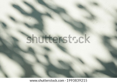 Leaves natural shadow overlay on white texture background, for overlay, backdrop, mockup, summer seasonal concept