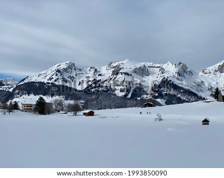 Unbelievably beautiful winter atmosphere on the pastures and hills of the Swiss Alps in the Obertoggenburg region, Wildhaus - Canton of St. Gallen, Switzerland (Kanton St. Gallen, Schweiz)