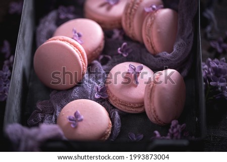 Unique violet lilac macaroons. Concept for gift card. Beautiful background for a gift card. 
