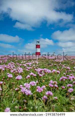 Bardsey Island landscapes in Wales Royalty-Free Stock Photo #1993876499