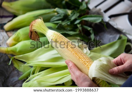 Woman’s hands husking a fresh sweetcorn preparing for cooking in the kitchen, Japan.
