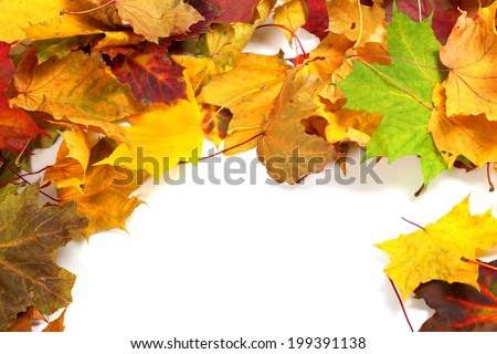 Autumn maple-leafs background with copy space