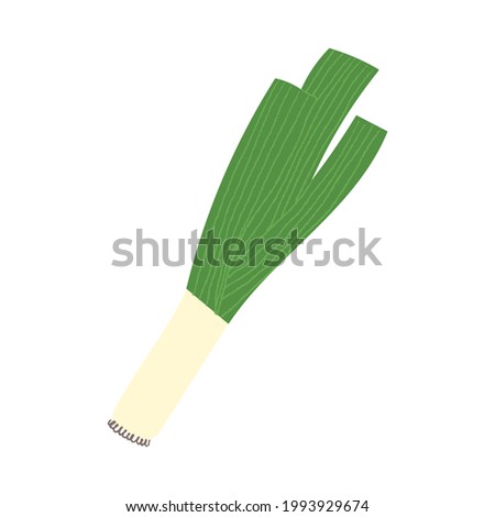 Leek. Flat hand drawn textured illustration of garden green onion.  Royalty-Free Stock Photo #1993929674