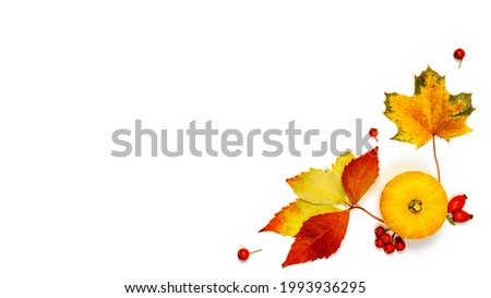 Halloween concept. Natural food, harvest with orange pumpkin, fall dried leaves, rowan berries isolated on white background. Beauty Holiday autumn festival concept. Fall scene