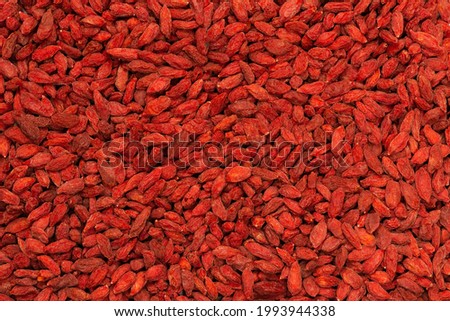 Red berries goji isolated on a white background. 