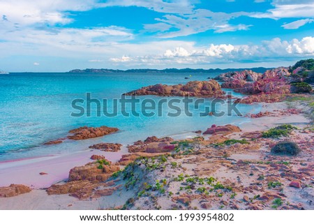 Amazing pink sand beach in Budelli Island, Maddalena Archipelago, Sardinia, Italy Royalty-Free Stock Photo #1993954802