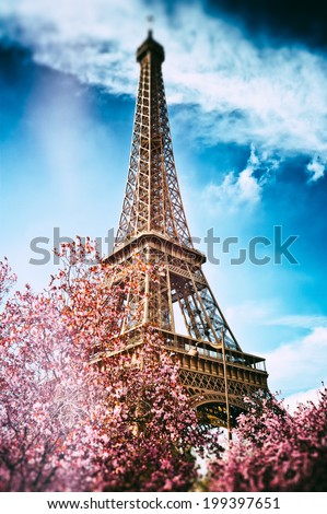 Springtime in Paris. Eiffel tower (toned image) 