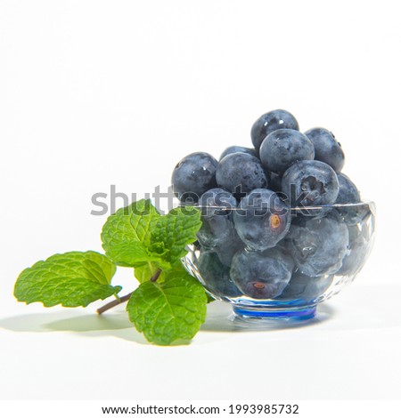 Still life photos of blueberries and green leaves on a white background