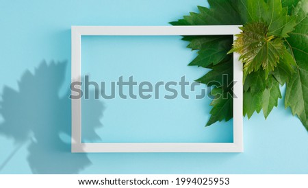 Green vine leaf and its shadow with white frame as empty copy space. Creative background flat lay concept.