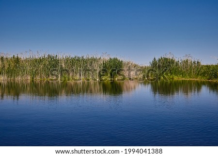 A beautiful lake in Danube Delta, Romania