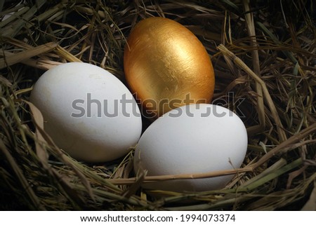 One gold and two ordinary eggs in the hay nest - Concept of good fortune, luck, opportunity, prosperity, and investments. 

