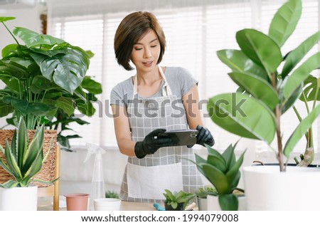 Beautiful young Asian florist blogger woman taking photos of home garden with potted plant with mobile phone in living room. Home plant breeding, Working online influencer on social media concept.