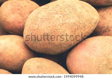 Smooth potatoes. Picture of vegetables for a sign in the store