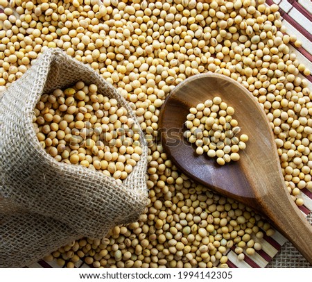 Soybeans - harvest in the state of Mato Grosso do Sul, Brazil in the year 2021
