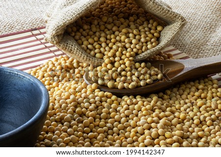 Soybeans - harvest in the state of Mato Grosso do Sul, Brazil in the year 2021