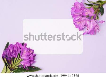 A fresh natural organic Japanese azalea bloom with creative copy space. Nice pastel purple background.