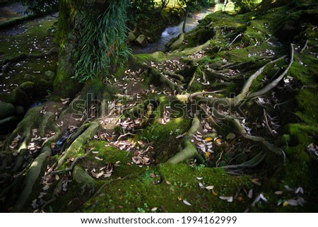 Kenrokuen, a famous Japanese garden
