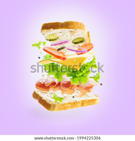 Pictured is a turkey sandwich. Also in the frame are cheese, slices of bread, vegetables. Pale lilac background. Daytime bright lighting. There is an empty space for your lettering. Levitation.