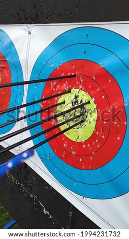 Archery face target. Target archery is the most popular form of archery, in which members shoot at stationary circular targets at varying distances. All types of bow can be used.