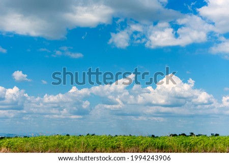 Tropical summer blue sky fluffy white cloud summertime on light sunny day cloudscape. Clear bright blue skyline spring sunlight climate background. Heaven blue environment ecology high scenic nature.