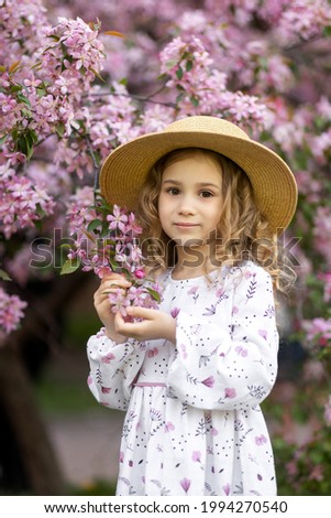 A girl in a white dress and a straw hat is walking in the park. The girl stands against the background of pink flowering trees. The girl sniffs the scent of flowers. Image with selective focus.