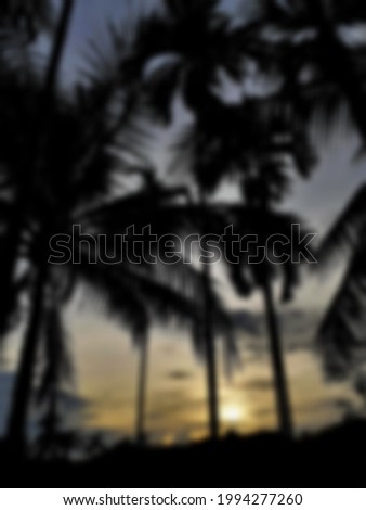 Blurry landscape sunset scenery on-mountain In the evening, with a silhouette of betel trees in A forest, and vertical nature picture concept.