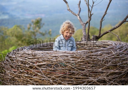 boy sitting in a large nest on a tree