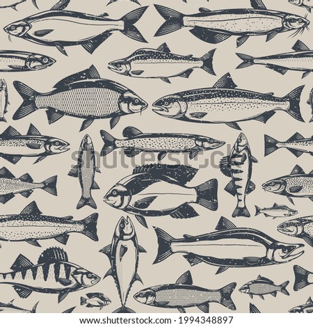 Vector fish retro styled seamless pattern or background. Fish illustration collection