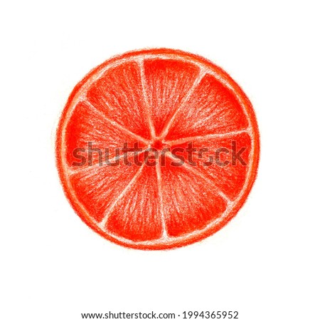 The Grapefruit drawing is made with colored pencils
