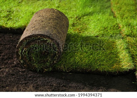 Laying grass sods at backyard. Home landscaping Royalty-Free Stock Photo #1994394371