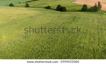 Aerial, drone photography taken from above in Sweden. View of large area of green agriculture fields with bushes and trees in the background.  Place for text, copy space. 
