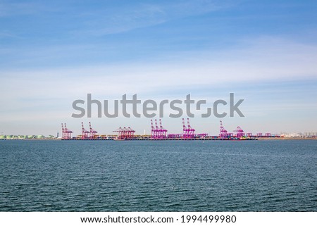Port with cranes installed to move containers