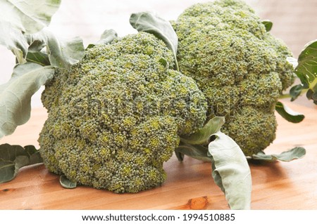 A closeup shot of farm fresh broccoli - organic and local sustainable farming concept