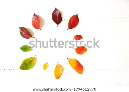 Circle of colorful autumn leaves in the form of a gradient text frame, layout for design on a wooden white background. High quality photo