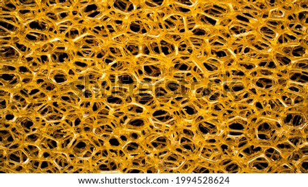 yellow sponge. 3D structure, background, texture.
