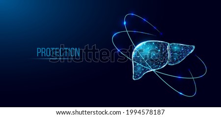 Human liver protection. Wireframe low poly style. Concept for medical, pharmacology, treatment of the hepatitis. Abstract modern 3d vector illustration on dark blue background. Royalty-Free Stock Photo #1994578187