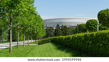 Alley of Tulip trees (Liriodendron tulipifera), called Tuliptree, American or Tulip Poplar in city park Krasnodar with stadium background. Public landscape 'Galitsky park' for relaxation 