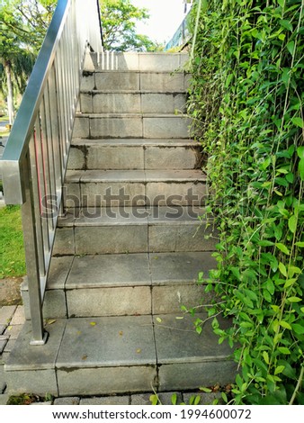 the stairs to the cafe with a wall of leaves
