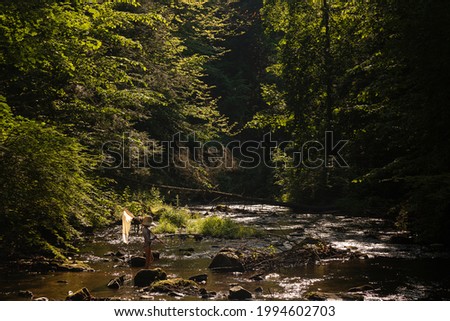 Children hunting for crayfish in a stream