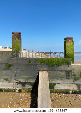 Wooden groynes sea defenses in Camber sands covered in green algae and seaweed wit a blue sky