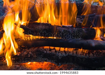 Firewood, stacked and burning in the fire with an orange flame with the formation of ash, below are red coals. A cozy picture of a comfortable warming fire in a camping camp.