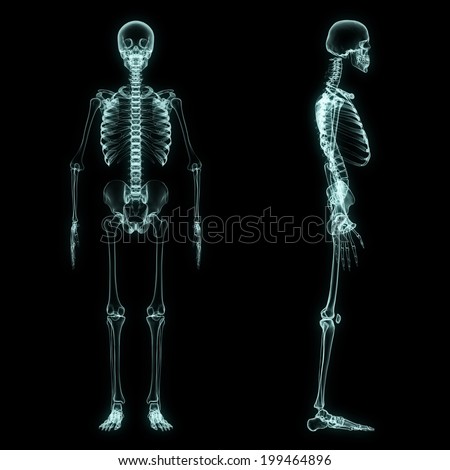 X-ray full body of skeleton in brightness blue with black background