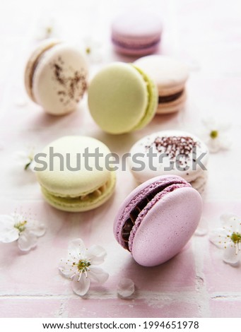 French sweet macaroons colorful variety on a pink tile background with spring blossom