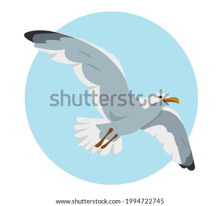 Gray and white seagull in sky. Flying gull. Sea bird cartoon icon vector illustration. Royalty-Free Stock Photo #1994722745