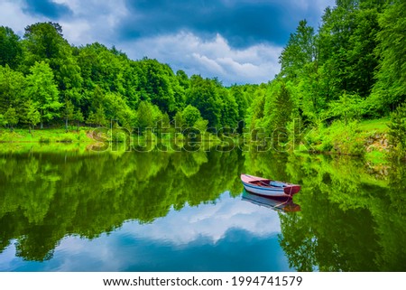 Lake view among lush trees in the forest. The reflection of green trees on the small pond shows the beauty of nature. nature landscape in the forest.
