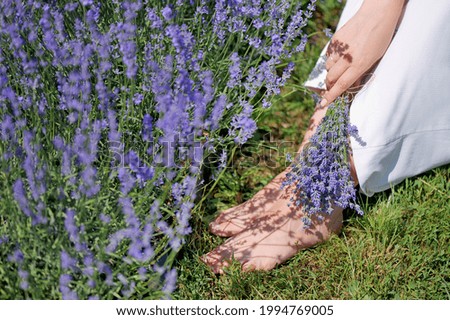 Close-u picture of legs against blooming lavender bush