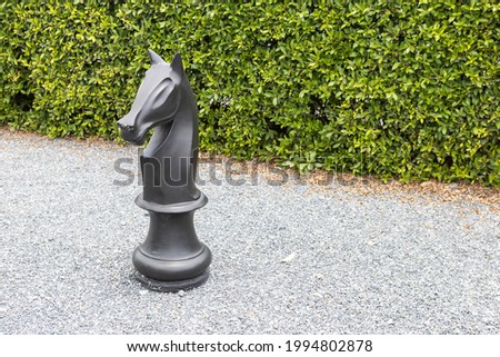 The beautiful pattern chess horse 
