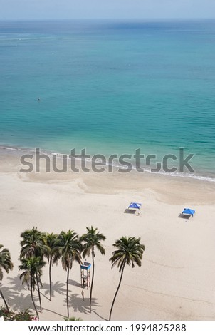 Aerial view of the beach with tents, palm trees and the lifeguard tower. Vertical photo.
