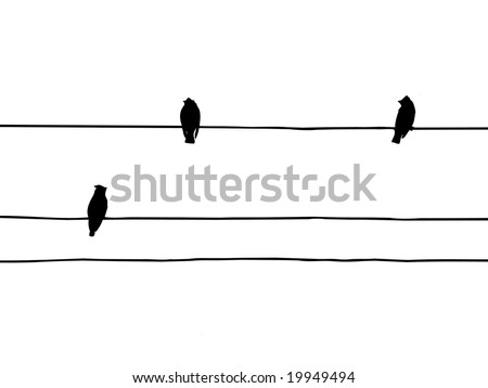 birds  waxwings on wire
