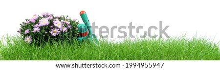 Flower, Lawn with Gardening Tools, isolated on white background. Royalty-Free Stock Photo #1994955947